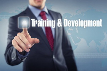 Training & Development