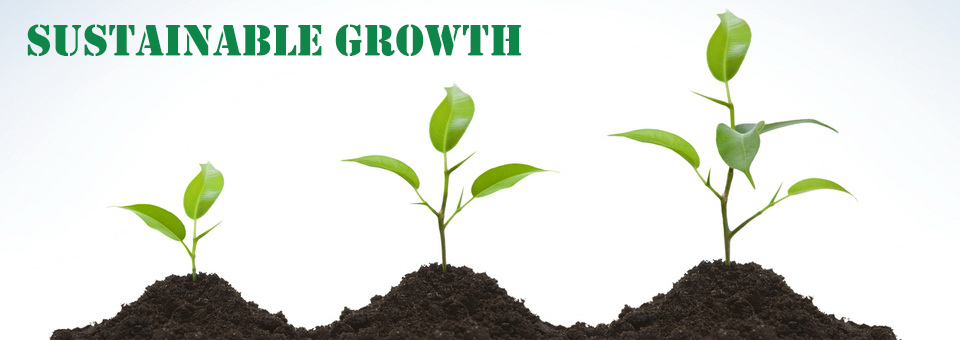 Sustainable Growth